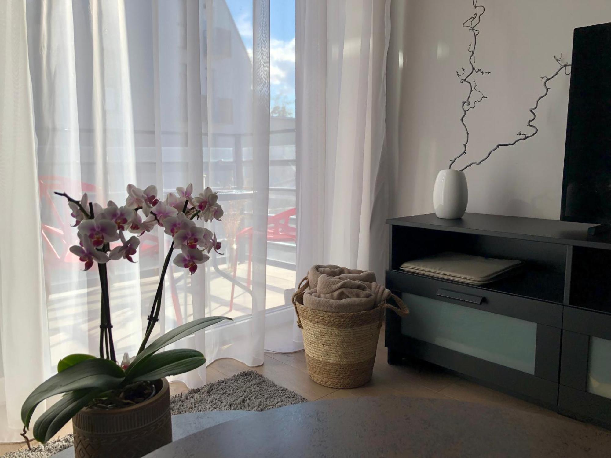 Cosy 1 Bedroom Apartment In The Heart Of Old Town With Parking Kaunas Esterno foto